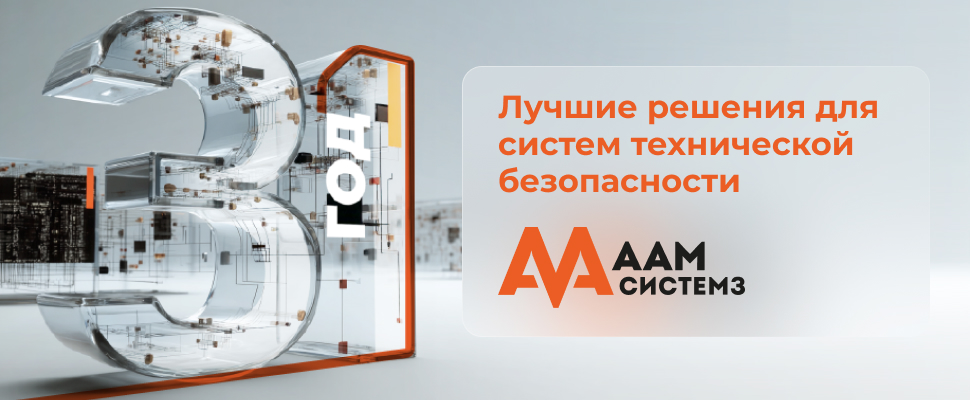 31 год ААМ Системз